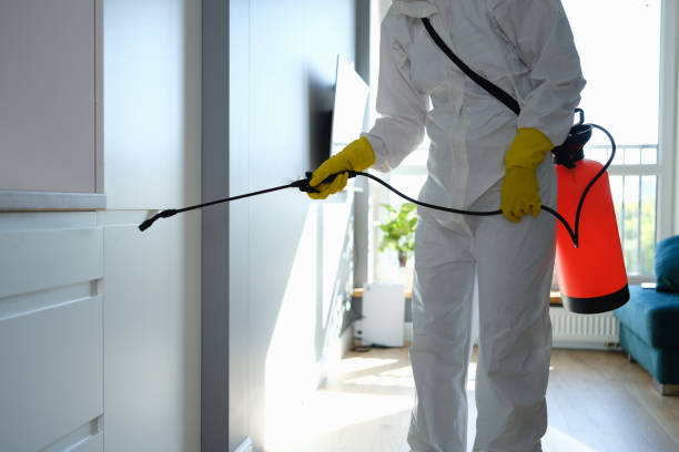 Professional Mold Removal in Lomira, WI