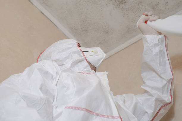 Best Mold Cleaning Services  in Lomira, WI